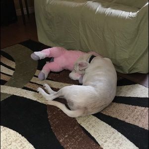 Meet your Posher, Marlene